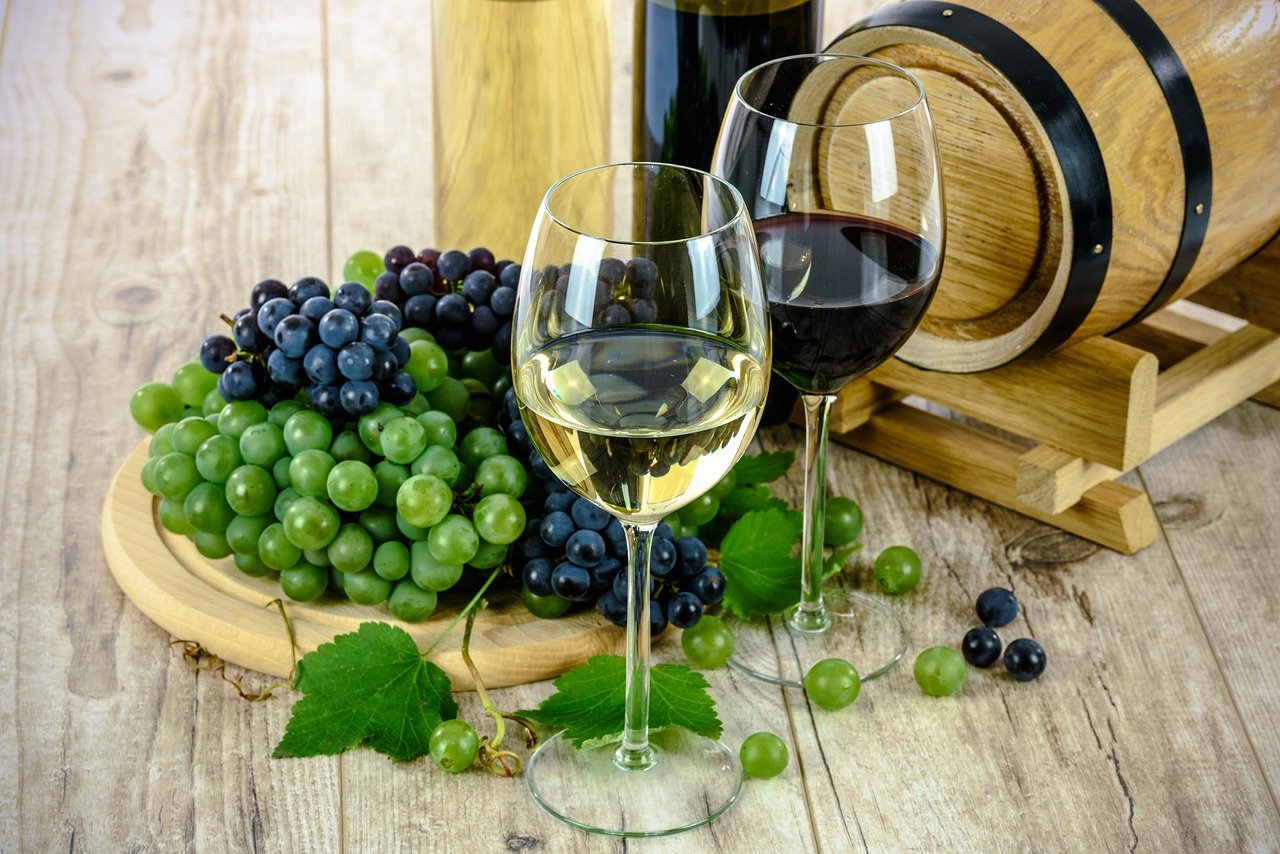 Comment se former aux métiers de la viticulture ?