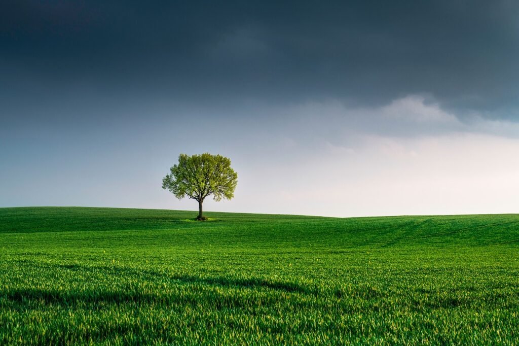 découvrez les environnements numériques, un espace en constante évolution qui façonne notre interaction avec la technologie et les informations. plongez dans les tendances, innovations et outils qui transforment notre quotidien et améliorent notre expérience digitale.