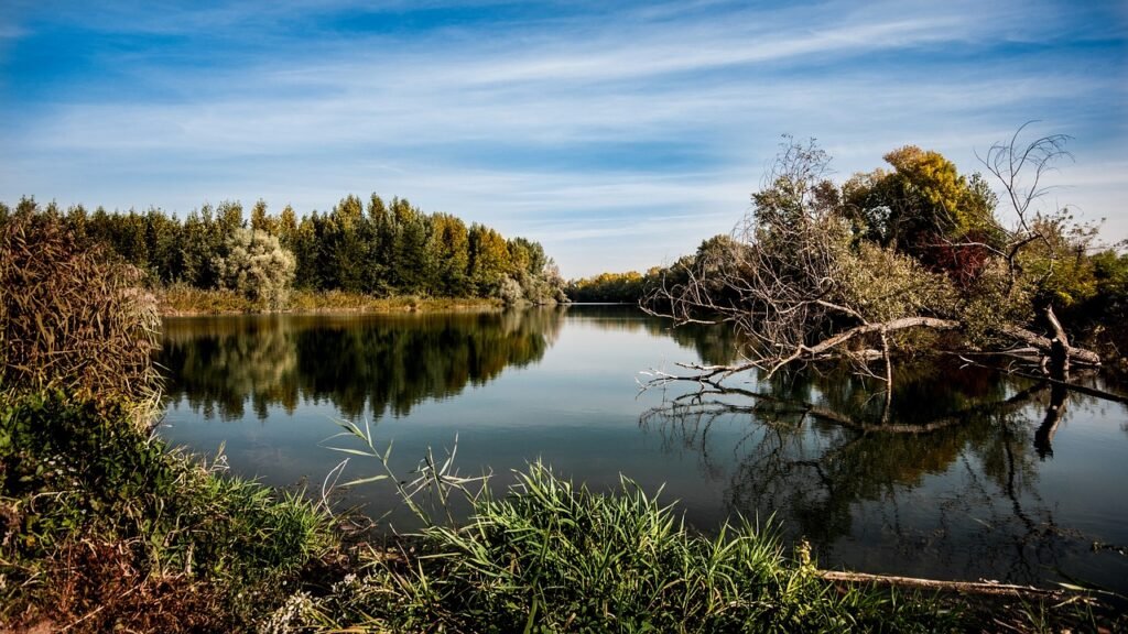 découvrez les environnements numériques, véritables espaces dynamisés par la technologie, où l'innovation et l'interaction sociale redéfinissent notre manière de travailler, d'apprendre et de communiquer.