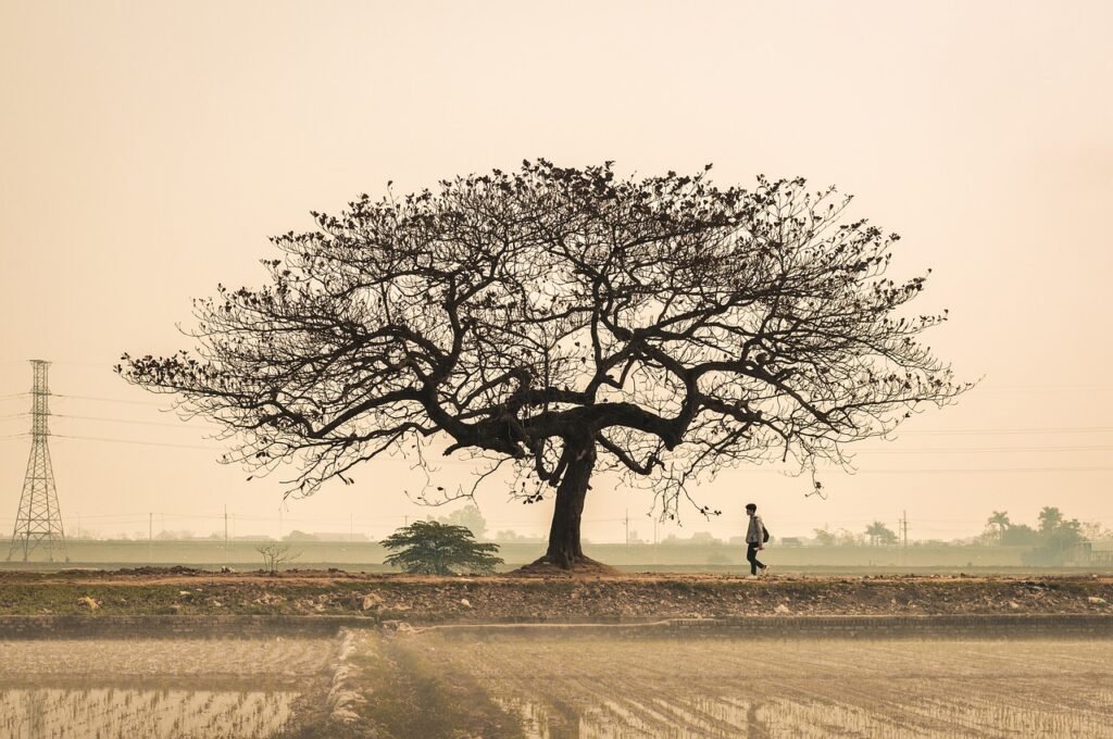 découvrez des environnements numériques innovants qui transforment notre façon d'interagir, d'apprendre et de travailler. explorez les technologies avancées et les solutions digitales qui façonnent l'avenir des espaces virtuels.