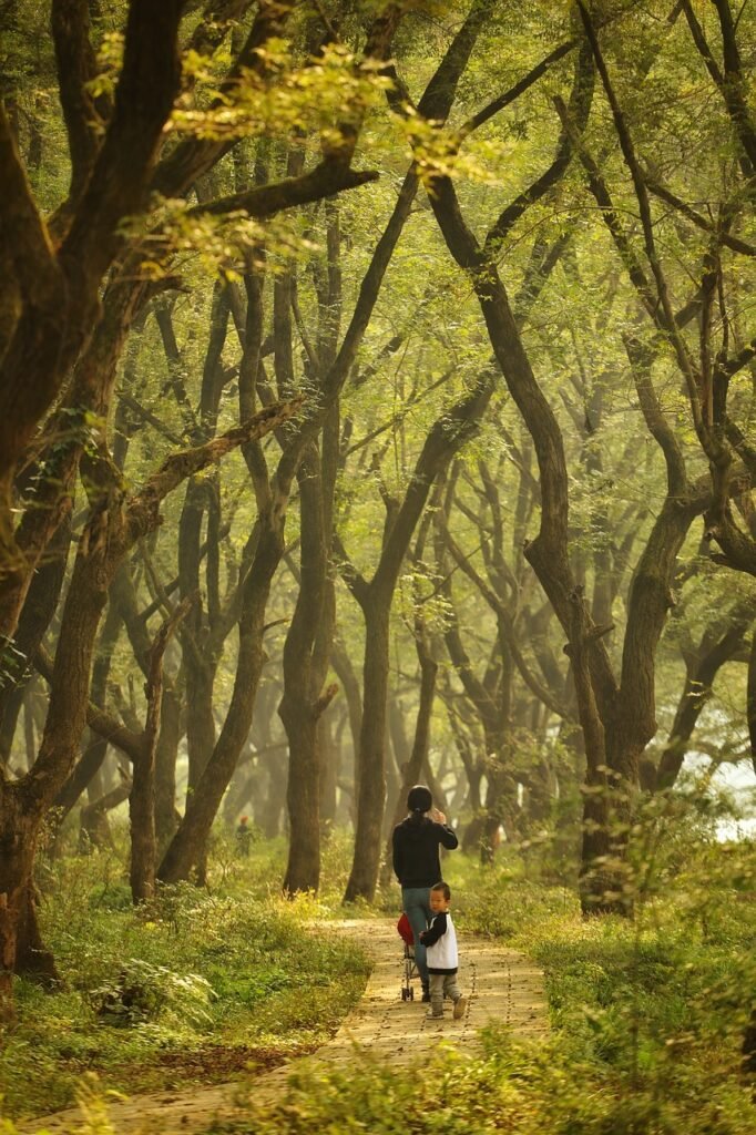 découvrez les environnements numériques, un univers en constante évolution où la technologie et l'interaction humaine se rencontrent. apprenez comment ces espaces virtuels transforment nos vies, facilitent la communication et favorisent l'innovation.