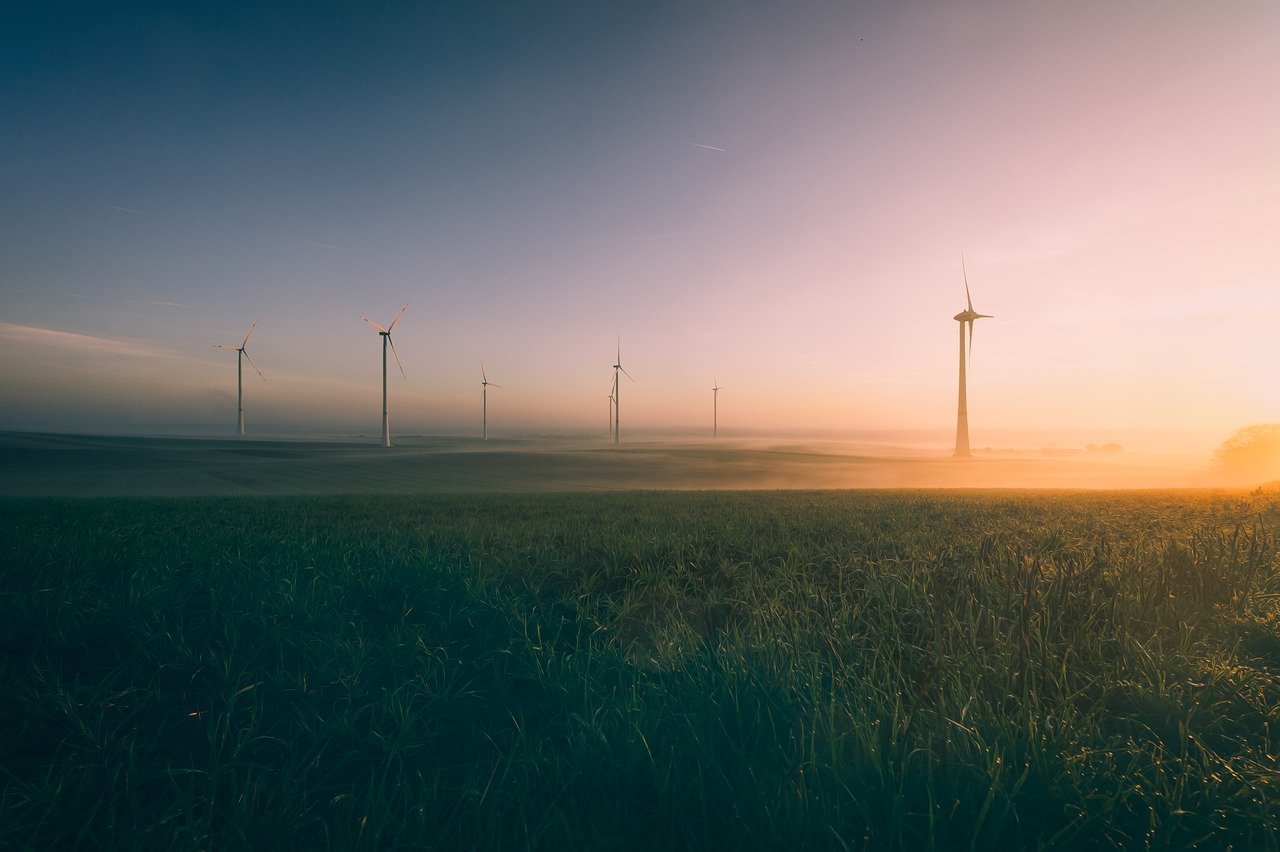 Ent las cases : explorer les environnements numériques de travail