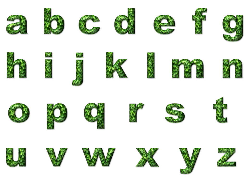 découvrez l'éducation écologique, un engagement essentiel pour sensibiliser aux enjeux environnementaux et promouvoir des pratiques durables.