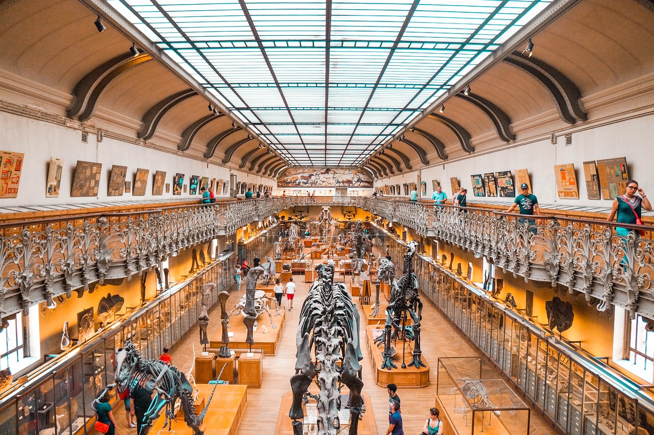 découvrez comment la diversité éducative enrichit l'apprentissage, favorise l'inclusion et prépare les élèves à un monde multiculturel. explorez des techniques et des approches innovantes pour intégrer la diversité dans les systèmes éducatifs.