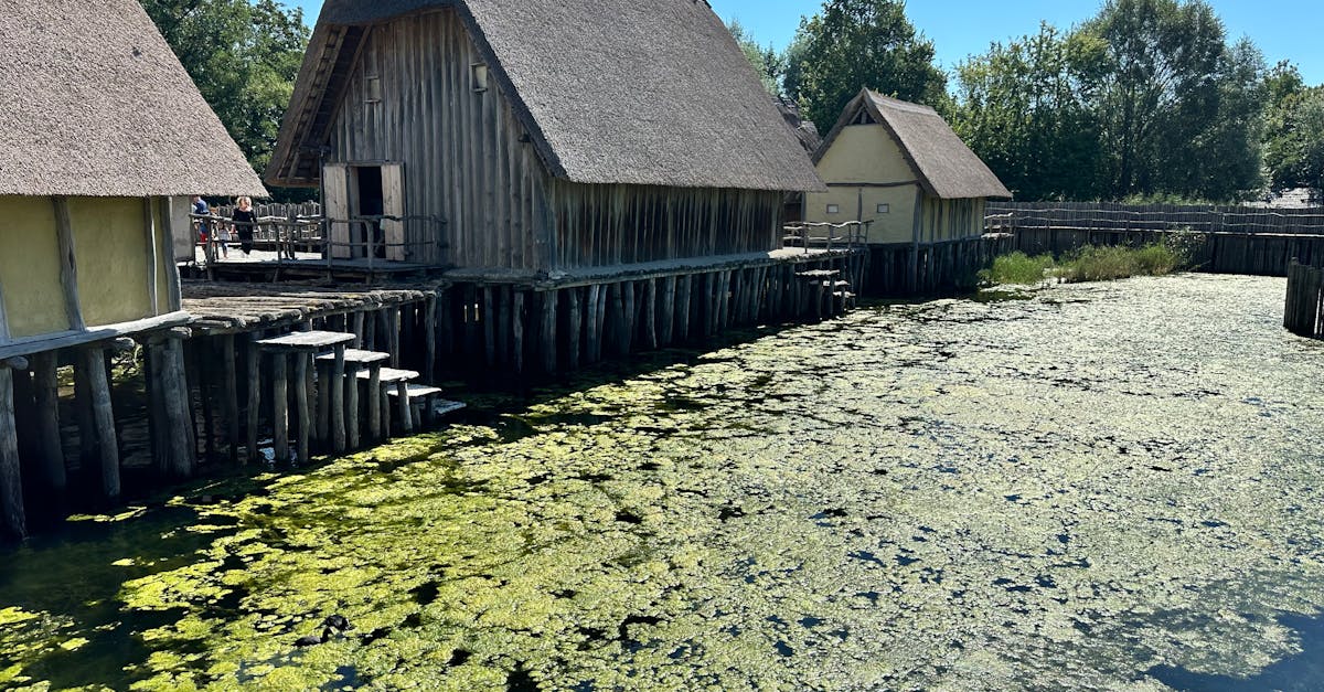 La nouvelle rectrice explore le pays catalan : un point sur les avancées en matière de mixité scolaire