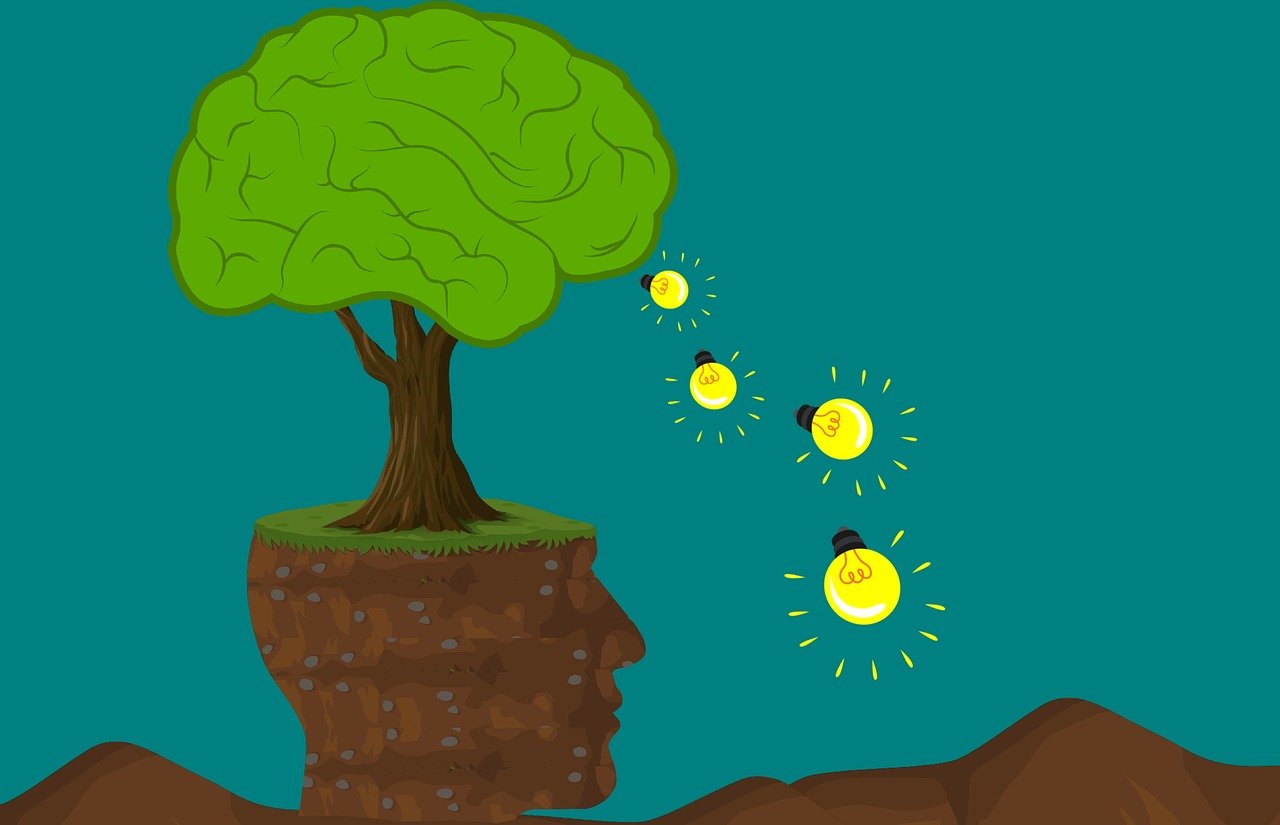 Éducation et environnement : comment sensibiliser la jeunesse change durablement leurs comportements