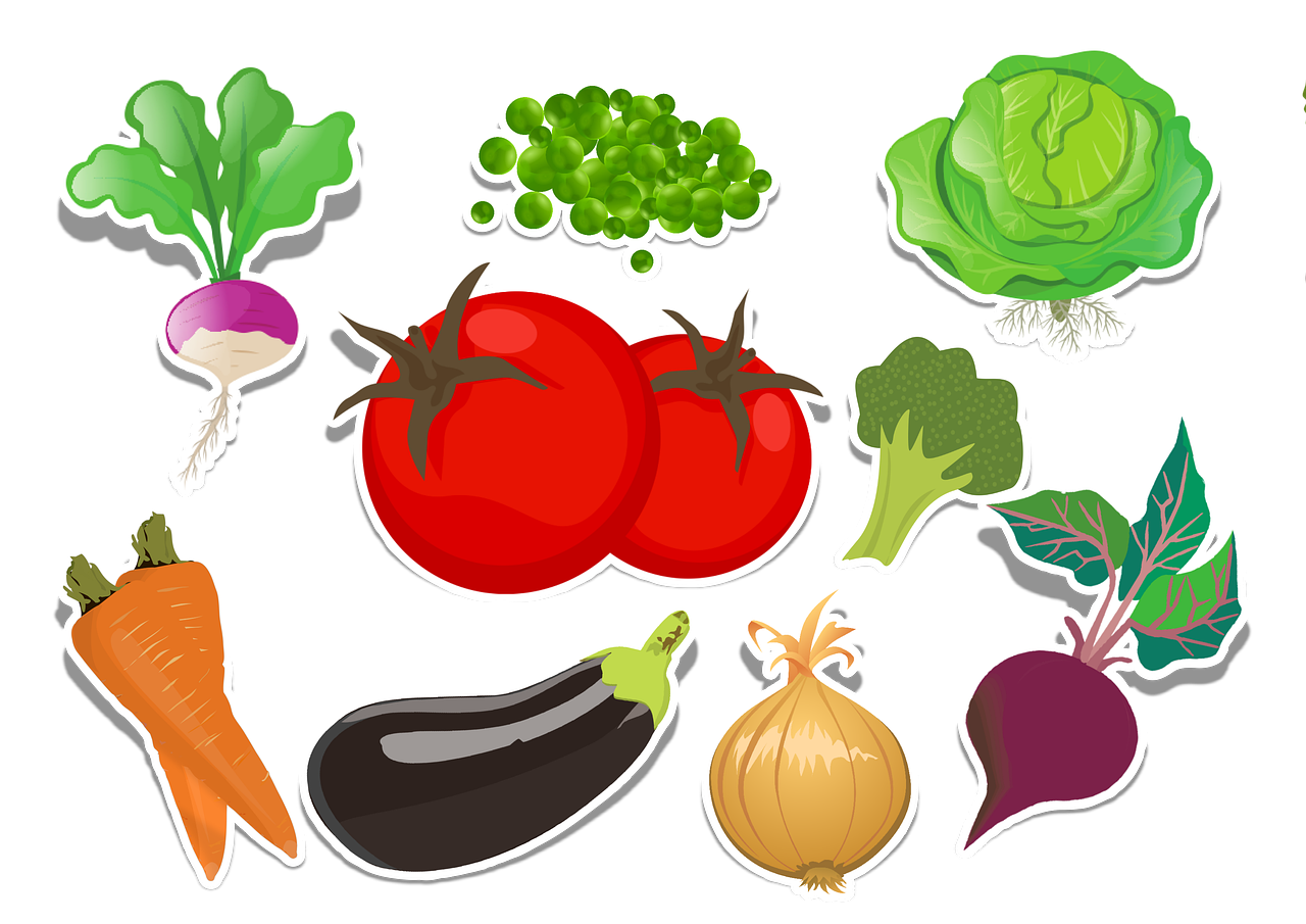 découvrez l'importance de l'éducation alimentaire pour adopter une alimentation saine et équilibrée. conseils, astuces et informations pour mieux comprendre la nutrition.