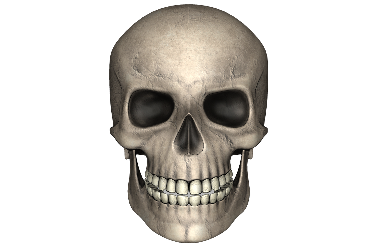 L’avenir de l’éducation populaire : défis, innovations et perspectives