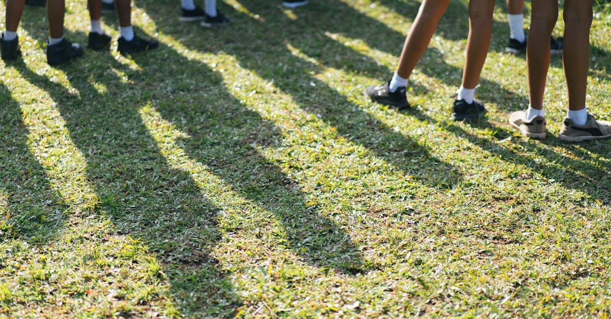 La Région consacre plus de 12 millions d’euros à l’amélioration des lycées Foch et Monteil : des projets d’envergure en cours
