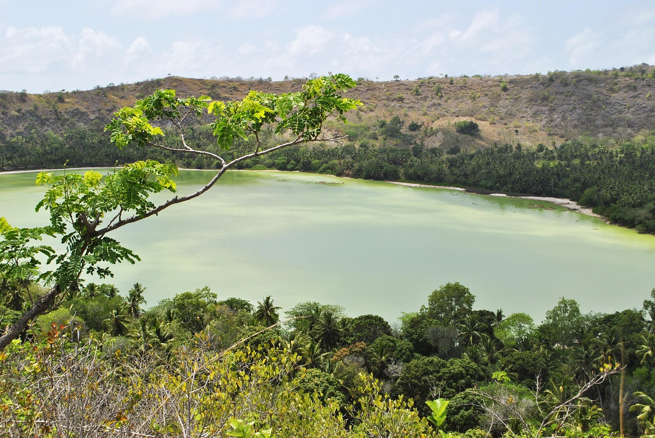 découvrez mayotte, une île paradisiaque située dans l'océan indien, connue pour ses paysages époustouflants, sa biodiversité marine exceptionnelle et sa culture riche. explorez ses plages idylliques, ses lagons turquoise et son patrimoine unique, tout en profitant d'une atmosphère conviviale et chaleureuse.