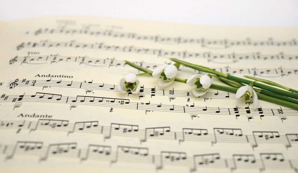 découvrez l'éveil musical : un voyage captivant au cœur des mélodies qui inspirent et transforment. plongez dans un univers sonore riche et laissez la musique éveiller vos émotions.
