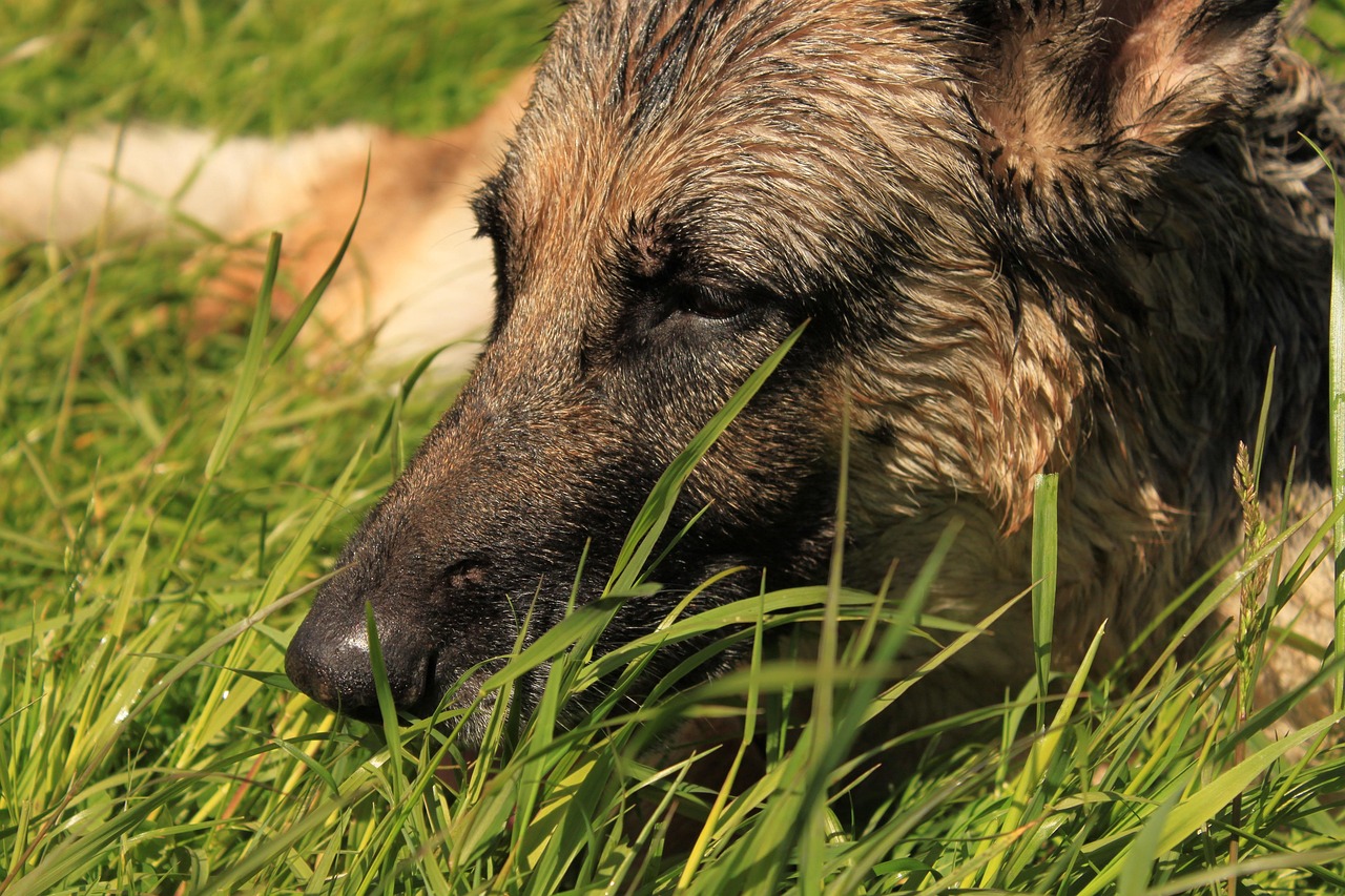 Édouard Geffray : l&rsquo;origine surprenante du surnom moqueur qui colle au ministre de l’Éducation