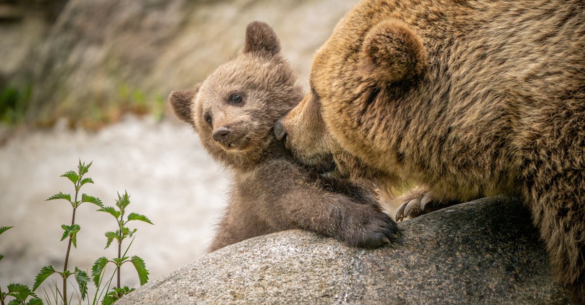 Un parent enseigne lui-même à des classes de 3e face à un manque de professeurs