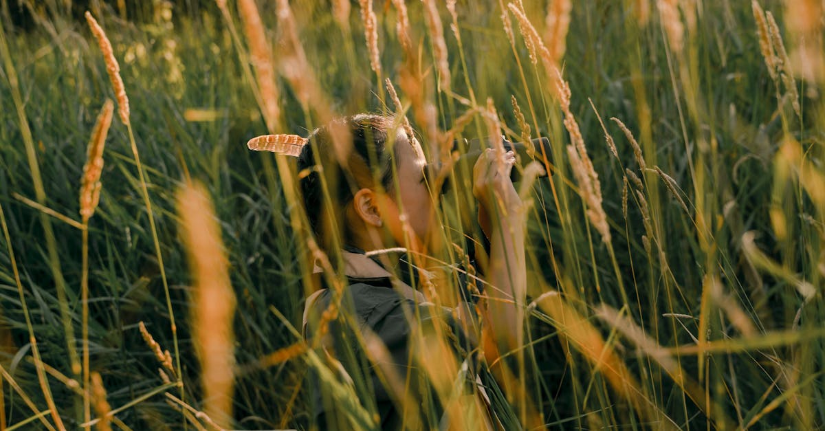 Repenser l’éducation à la campagne : du besoin d’une école à l’importance d’une école adaptée pour mon village