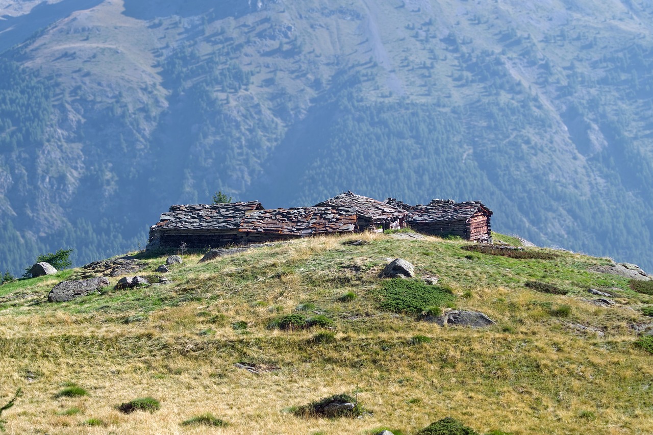 découvrez le concept de laïcité, ses principes fondamentaux et son importance dans la séparation des institutions religieuses et de l'état.