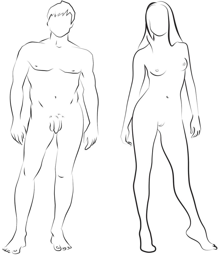 découvrez une éducation sexuelle complète et respectueuse pour mieux comprendre le corps, les relations et la santé reproductive.