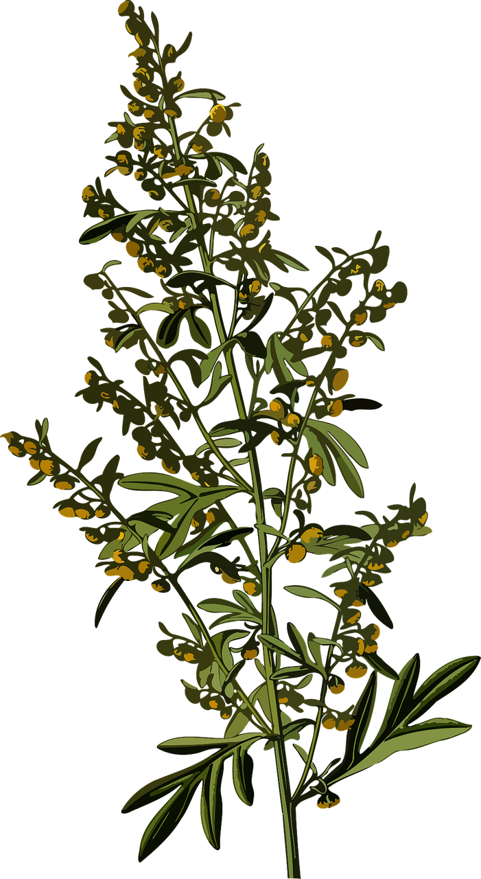 découvrez l'éducation thérapeutique, un accompagnement personnalisé pour mieux gérer sa maladie au quotidien et améliorer sa qualité de vie.