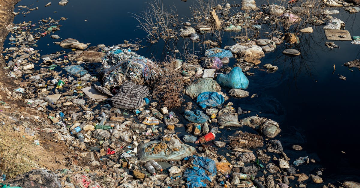 Un enseignant du lycée Jardin d’Essai reçoit des menaces de mort : la communauté éducative en Guadeloupe réagit